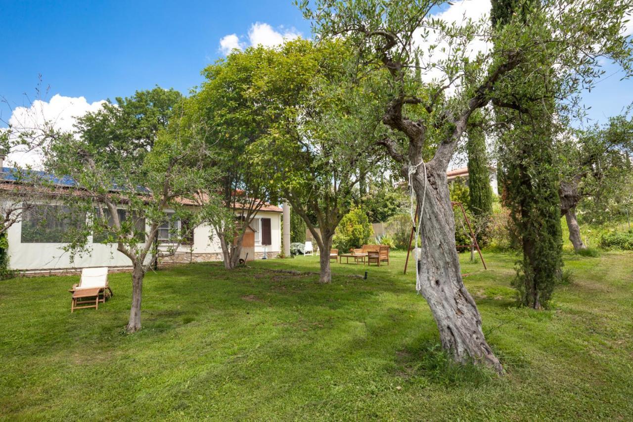 Artemisia Negli Ulivi B&B 马利亚诺因托斯卡纳 外观 照片