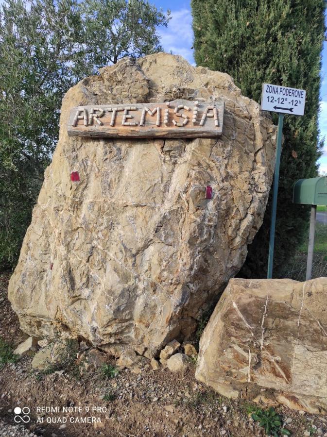 Artemisia Negli Ulivi B&B 马利亚诺因托斯卡纳 外观 照片