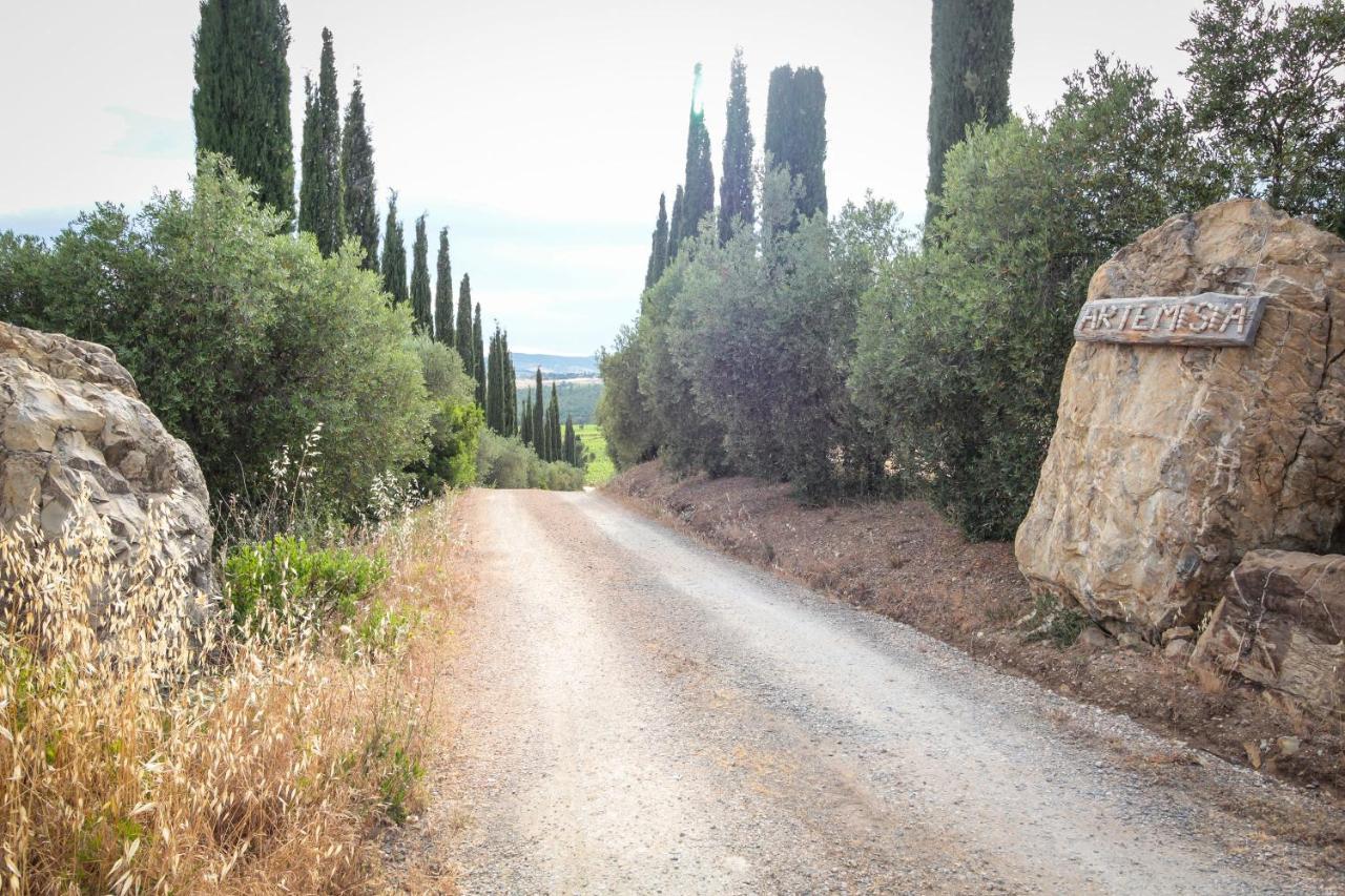 Artemisia Negli Ulivi B&B 马利亚诺因托斯卡纳 外观 照片