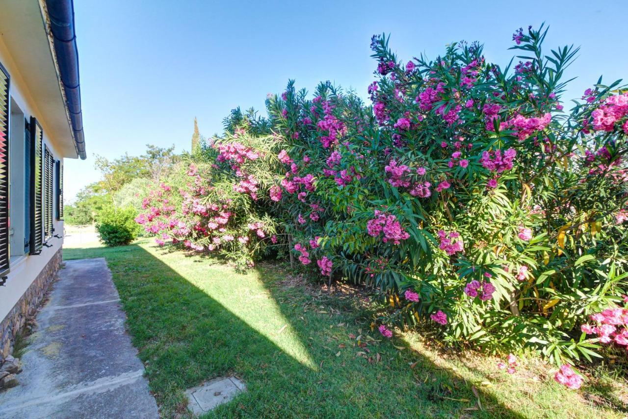 Artemisia Negli Ulivi B&B 马利亚诺因托斯卡纳 外观 照片
